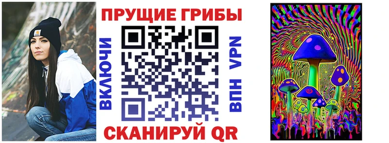 Галлюциногенные грибы MAGIC MUSHROOMS  мориарти официальный сайт  Заречный  MEGA рабочий сайт 